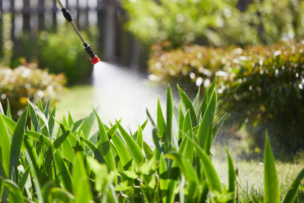 Tamper-Resistant Bait Stations for Rodents in Castroville