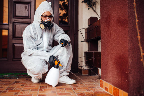Attic and Crawl Space Rodent Treatment in Castroville