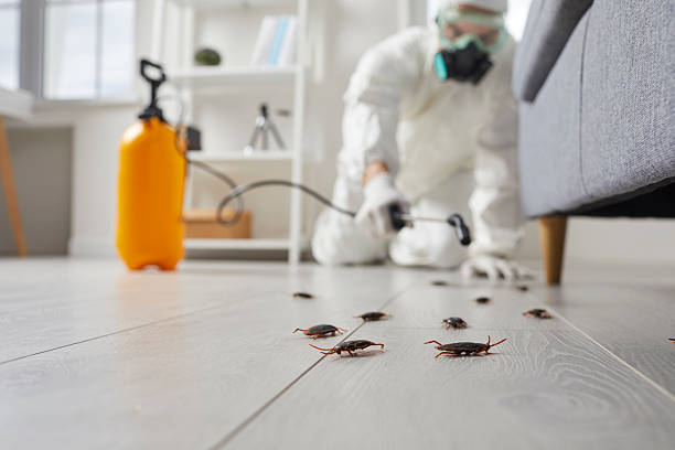 Commercial Rodent Management in Castroville